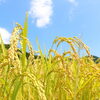 9月2日、今日は何の日　八王子市片倉町の個別指導学習塾『和泉学習研究所』～中高受験からその先の未来までサポート～