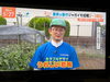 たまにはポジティブ報道👍「☆カラフル野菜の小山農園『Nスタ』無事にオンエア📺☆」
