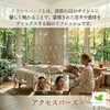 アクセスバーズの素晴らしさをもっとお届けしたい！