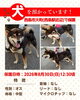 「【西条市大町798番地9付近】迷い犬を保護しています！（※伊予西条駅近辺）」