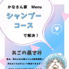 岡山猫専門サロン　シャンプーコースでお悩み解決！？