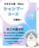 お悩み解決メニュー紹介「岡山猫専門サロン　シャンプーコースでお悩み解決！？」