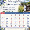 9月からは、オータムタイムです🫐🍂