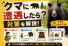「函館・道南でクマに遭遇したら？ヒグマとツキノワグマの違い・身を守る対策を解説」