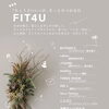 【イベント出店のお知らせ】9月19日開催の『FIT4U』に出店します！｜瀬戸内カヌレ