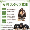 🌟🐾🐶スタッフ募集🐶🐾🌟
