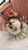 「岡山猫サロン　鼻ぺちゃちゃんはシャンプー必須!？」