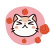 岡山猫専門サロン　お顔を洗って梅干し選手権エントリー！