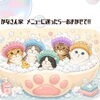 岡山猫専門サロン　外に出なくても汚れています！