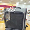 CAPTAIN STAGのペット用4wayリュックバッグが1点入荷！