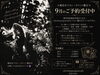 この木、何気に高さ10メートル位あるんですょ。🤣「🔮霧島市で占い・タロット鑑定｜9月のご予約受付中」