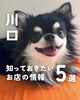 「💡川口のお店の最新ニュースをピックアップ！💡」