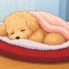 心に寄り添うペットとのお別れ