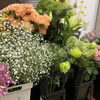きれいな花々が入荷しております｜一本からお気軽にどうぞ【二本松市／花屋】