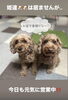 当店ナンバーワンホステス🐶🐶「北区麻生ダイナーズバーカウンターアクション」
