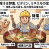 毎日の食事から考える、ミネラルと発酵のこと