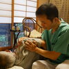 腱鞘炎やバネ指の悩みに、刺激の少ない整体という選択肢