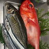 今夜は旬の魚を。二幸おすすめの魚料理