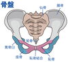 「朝の身支度で気になる腰まわりへ♪初めての方も骨盤ケアを気軽にご相談ください」