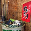 看板犬