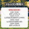 フィットネスサロン栄光🧘‍♀️　9/23(水)レッスン情報