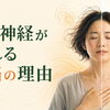 なぜ自律神経は乱れるのか──【頭脳労働】血液の