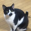 2年間の人見知りを越えて。伊奈町ののら君が見せてくれた小さな一歩