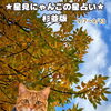 🌟 杉並区版☆12星座占い 🌟まいぷれ☆星見にゃんこ 🍂 9/7〜9/13