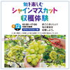 ９月キャンペーンの先行情報です‼️【ショッピングプラザアスモの隣りにある外房エリア唯一の総合住宅展示場】