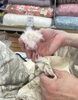 「羽毛ふとんリフォーム受付中」