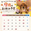 ✂️🐶9月もよろしくお願いします🐶✂️