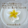 🌿 白露の便り 🌿
 季節の変わり目、自分の内側に耳を澄ませる時間