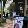 ブルーベリー狩りは終わっても癒しの時間は続きます🌿🫐🍂