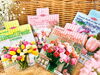 「秋植え球根入荷しました🌷🍂！」