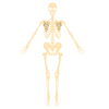 「【センター北のうんち薬局 漢方ハタ薬局～片脚立ち1分は骨を育てる～下痢 ・便秘・腰痛・膝痛・ 神経痛・自律神経・睡眠・後鼻漏 漢方相談 横浜都筑)】」