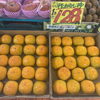【秋の味覚入荷】平たねなし柿・石川県産南水梨・長野県産秋姫プラム｜枚方市駅直結　新鮮果実 日野屋