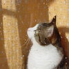 お天気不調