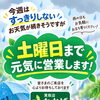 今週は土曜日まで元気に営業しております｜雨の日もお気軽にご相談ください