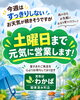 「今週は土曜日まで元気に営業しております｜雨の日もお気軽にご相談ください」