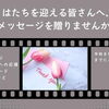【新居浜市役所】「令和9年はたちの集い」ではたちを迎える皆さんへメッセージを募集