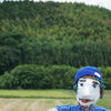 青木地区のかかし祭りへ🏃‍♀️