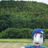 青木地区のかかし祭りへ🏃‍♀️
