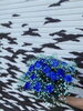 「ブルーの花束」