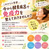 冬に向けた体調管理を、今から始めませんか？