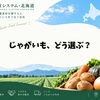 料理に合うじゃがいも、品種から一緒に考えます