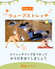 ウェーブストレッチエクササイズ「ウェーブストレッチ エクササイズ９月　産科婦人科山口病院」