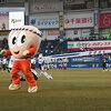 『ALL FOR CHIBA （浦安市）』