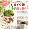 空き缶を可愛くリメイク♪ 多肉寄せ植え講座