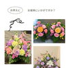 『和歌山市　お供え』　お彼岸のお供えに心を込めたお花を