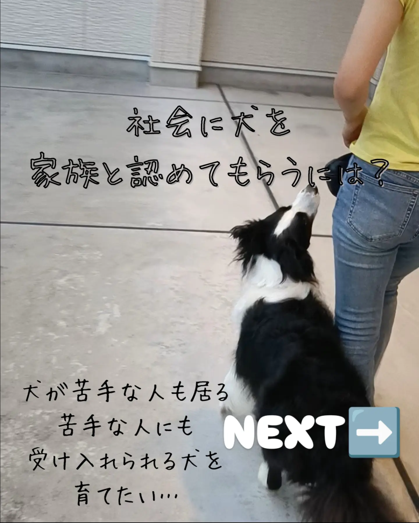 誰からも好かれる犬に#子犬教室#ご感想